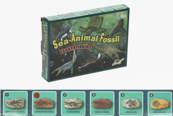 Excavation kit sea animal fossil (12), Cornelissen naTierliche
