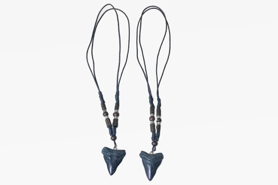 Kette Megalodonzahn 2fach (12)