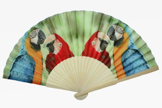 Hand fan parrots (12)