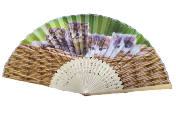 Hand fan kittens (12)