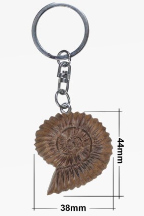 Wooden keychain ammonite (6)
