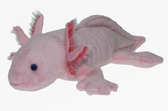 Plush axolotl length 29 cm (6)