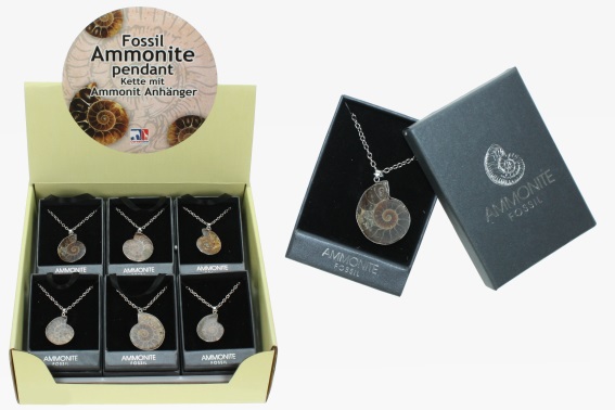 Necklace ammonite in gift box (12)