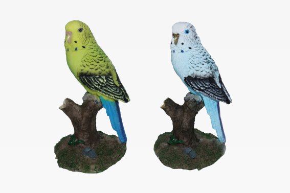 Poly budgie 2 assorted h 9,5 cm (6)