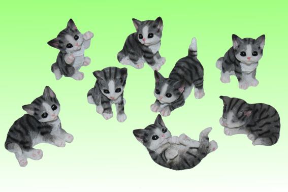 Poly cat 8 assorted height 5,5 cm (8)