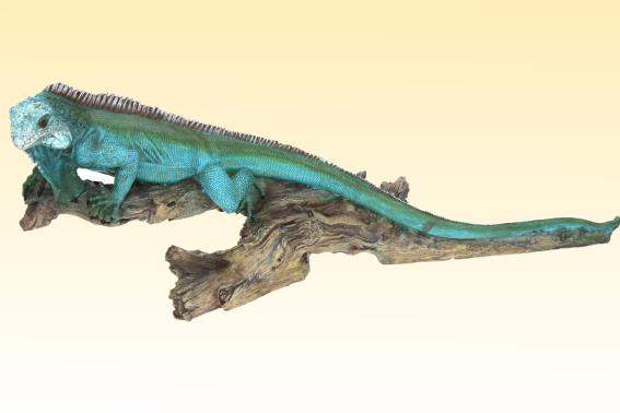 Poly lizard on branch length 54 cm (1)