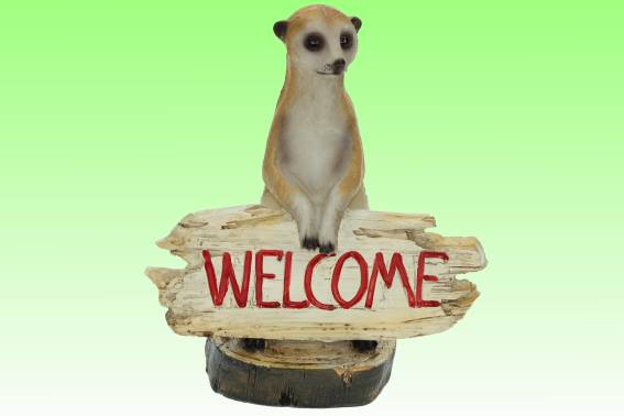 Poly Erdmännchen Welcome (1)