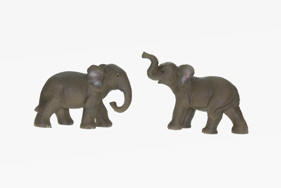 Poly elephant 2 assorted (12)