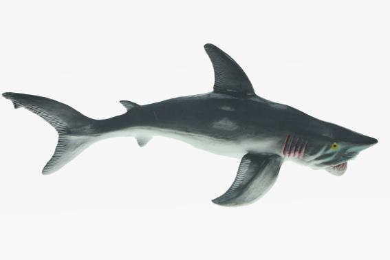 PVC Weißer Hai Länge 51 cm (6)