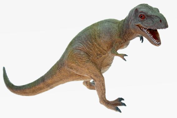 PVC dino T-rex length 48 cm (6)