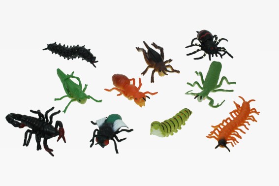 Stretch insect 12 assorted (96)