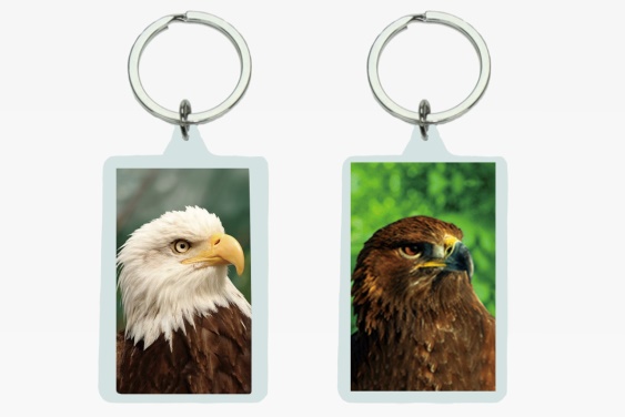 3D acrylic keychain eagles (12)