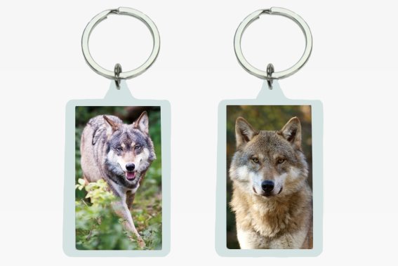 3D acrylic keychain wolves (12)