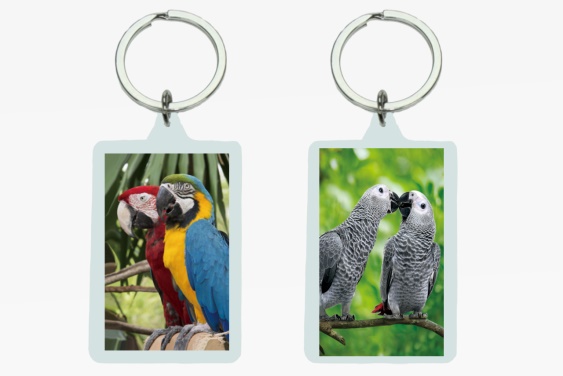 3D acrylic keychain parrots (12)