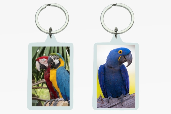 3D acrylic keychain parrots (12)