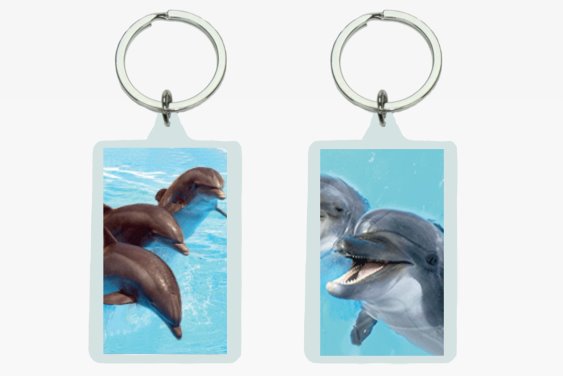 3D acrylic keychain dolphins (12)