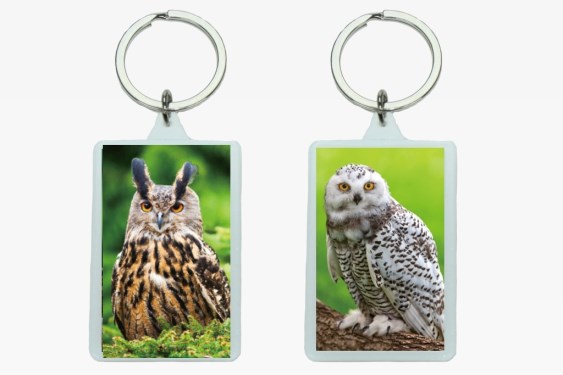 3D acrylic keychain owls (12)