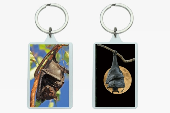 3D acrylic keychain bats (12)