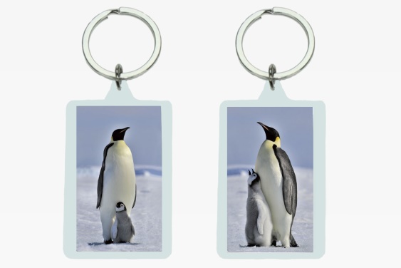 3D acrylic keychain penguins (12)