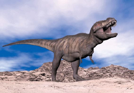 3D postcard Tyrannosaurus rex (25)