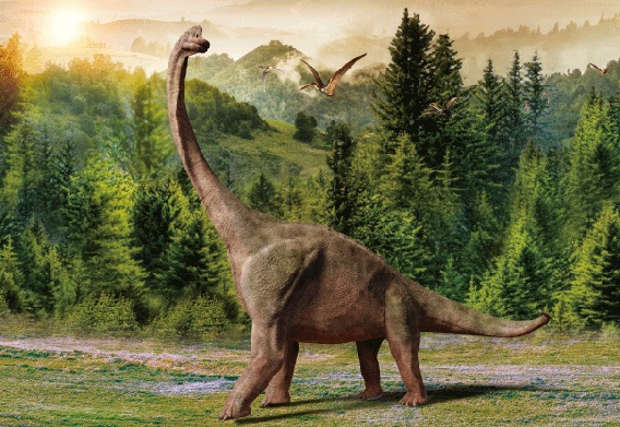 3D Postkarte Brachiosaurus (25)