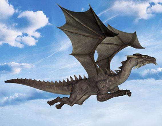 3D magnet dragon (25)