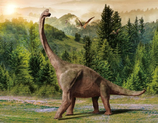 3D Magnet Brachiosaurus (25)