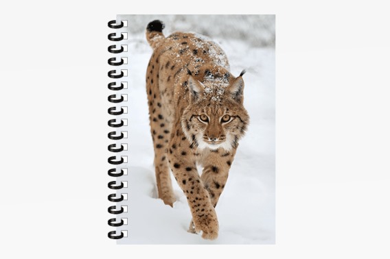 3D Notizbuch Luchs klein (12)