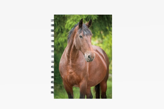 3D Notizbuch Pferd braun klein (12)