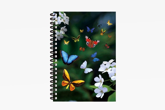 3D Notizbuch Schmetterlinge klein (12)