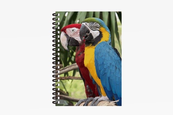 3D Notizbuch Papageien klein (12)