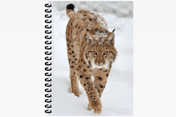 3D Notizbuch Luchs groß (12)