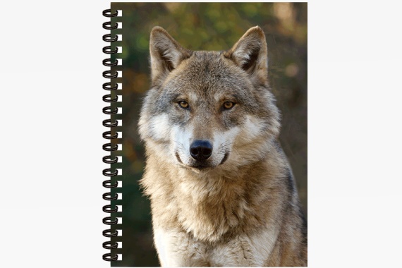 3D Notizbuch Wolfskopf groß (12)