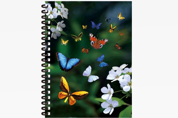 3D Notizbuch Schmetterlinge groß (12)