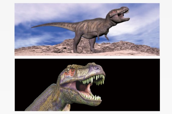 3D Lesezeichen Tyrannosaurus rex (25)