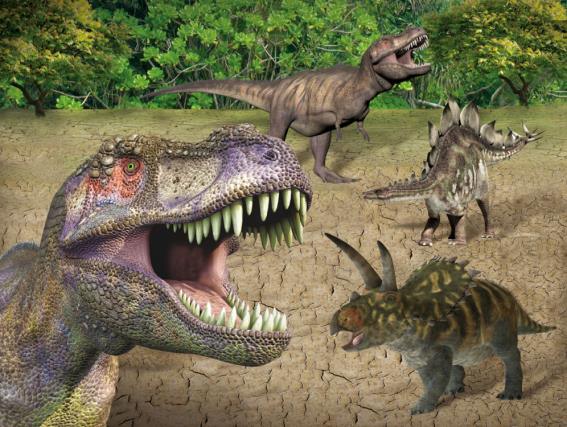 3D Platzmatte Dinoaurier (10)