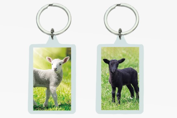 3D acrylic keychain sheep (12)