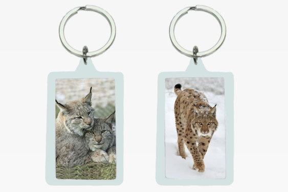 3D Acryl Anhänger Luchse (12)