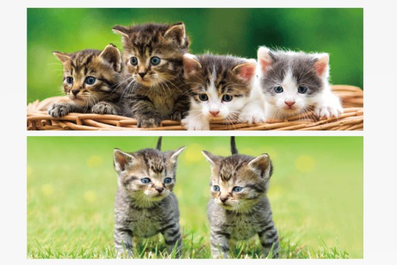 3D bookmark kittens (25)