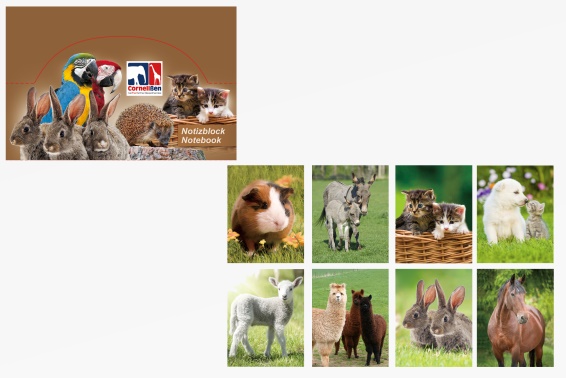 3D Notizblock Farmtiere 8fach (80)