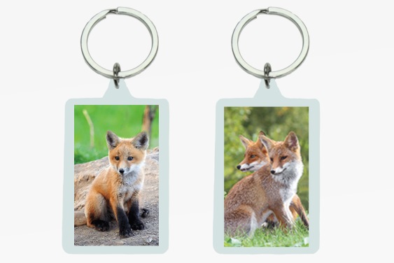 3D acrylic keychain foxes (12)