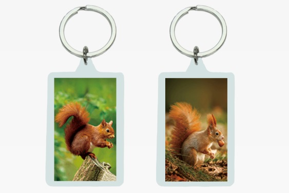 3D Acryl Anhänger Eichhörnchen (12)