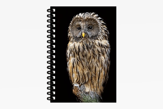 3D notebook tawny owl small (12)