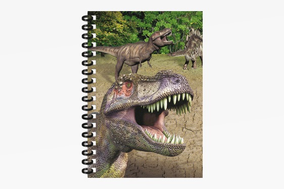 3D Notizbuch Dinos klein (12)