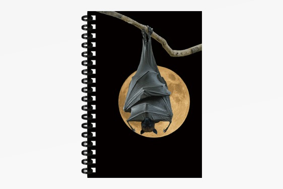 3D notebook bat small (12)