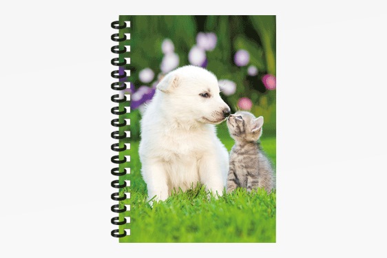 3D notebook puppy with kitten small (12)