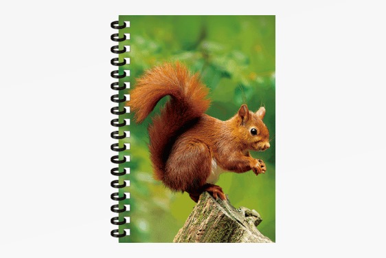 3D notebook squirrel small (12)
