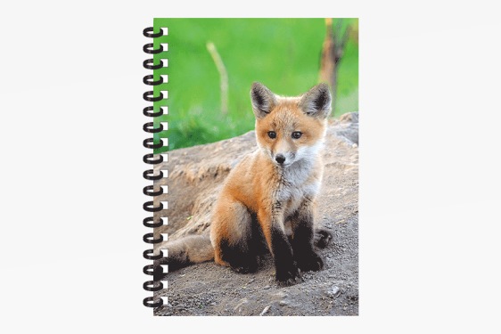 3D notebook fox small (12)