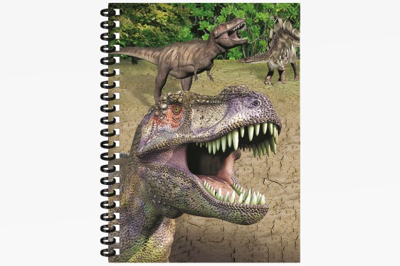 3D Notizbuch Dinos groß (12)