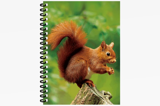 3D notebook squirrel big (12)